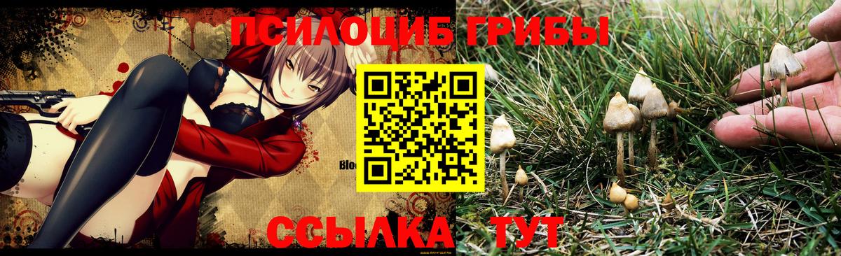 Надым  Галлюциногенные грибы GOLDEN TEACHER  Вход с VPN  Псилоцибиновые грибы Psilocybine cubensis 