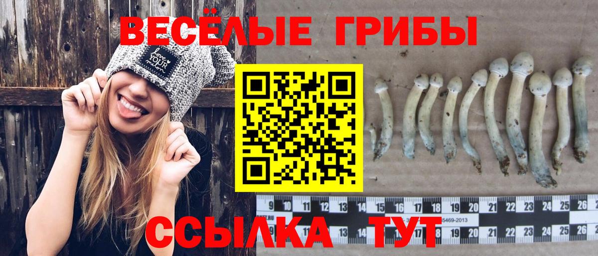 Псилоцибиновые грибы MAGIC MUSHROOMS Надым